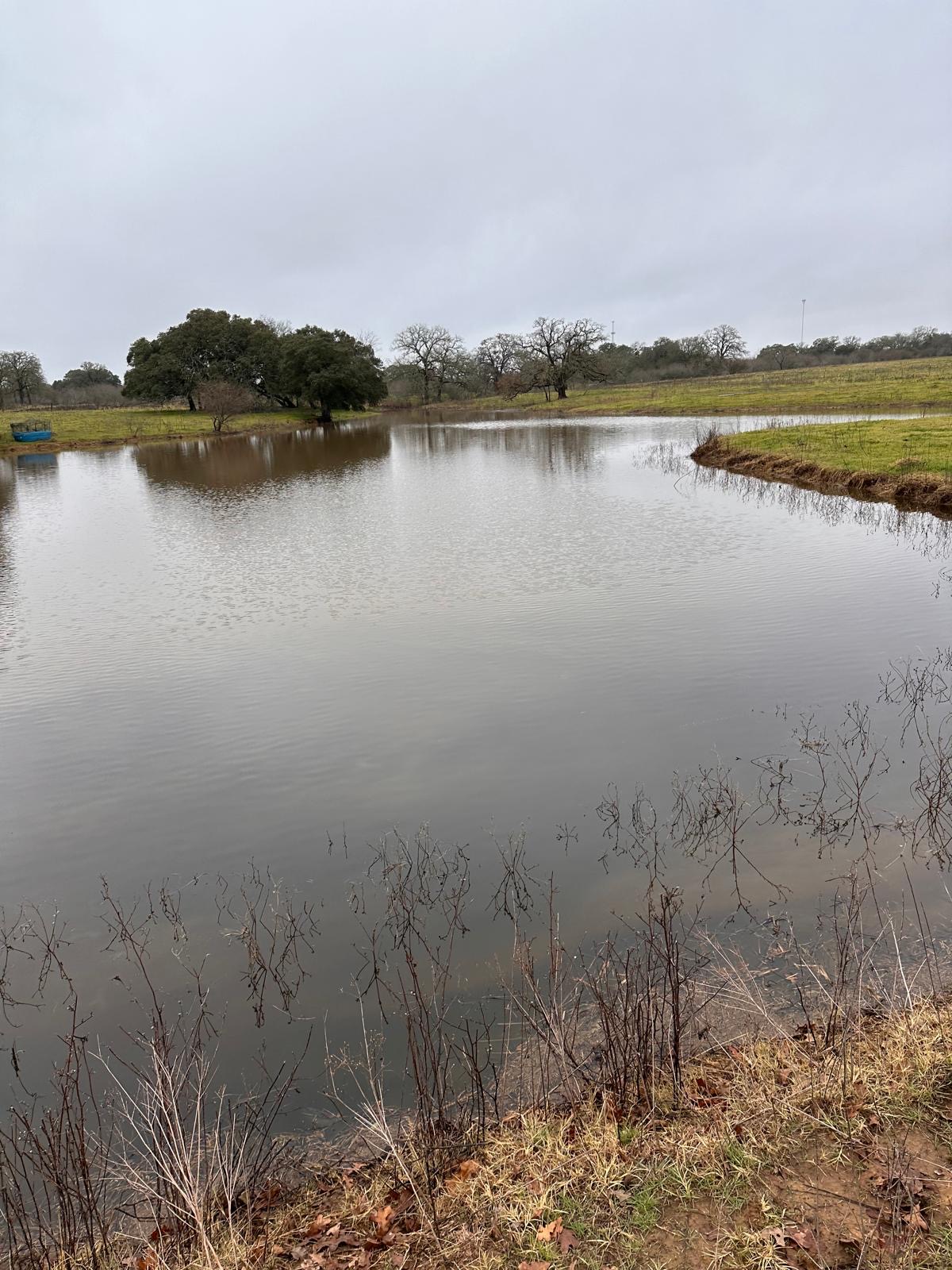957 Johnson Farms Road Harwood, TX 78632 - Photo 7 of 15 Expansive pond with surrounding natural landscape, mature trees, and grassy banks