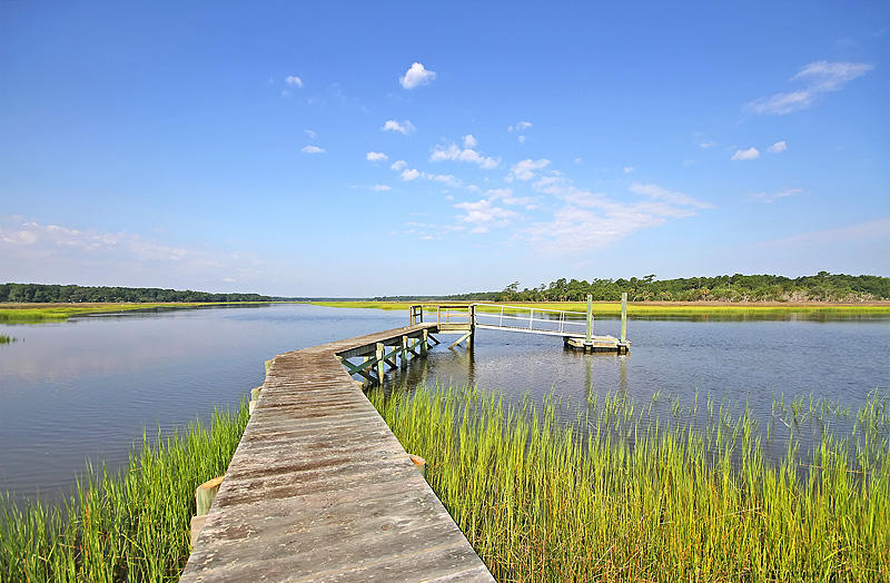 1143 15 Mile Landing Road Awendaw, SC 29429 - Photo 2 of 53 IMG_8638-copy