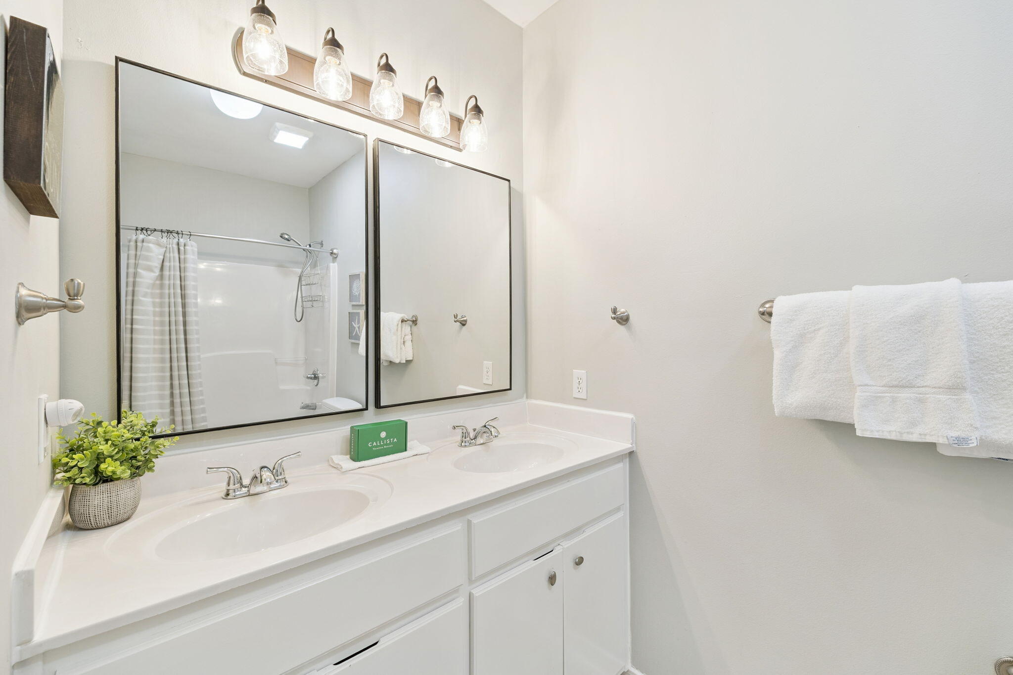328 Hidden Lake Way Santa Rosa Beach, FL 32459 - Photo 16 of 27 master bath