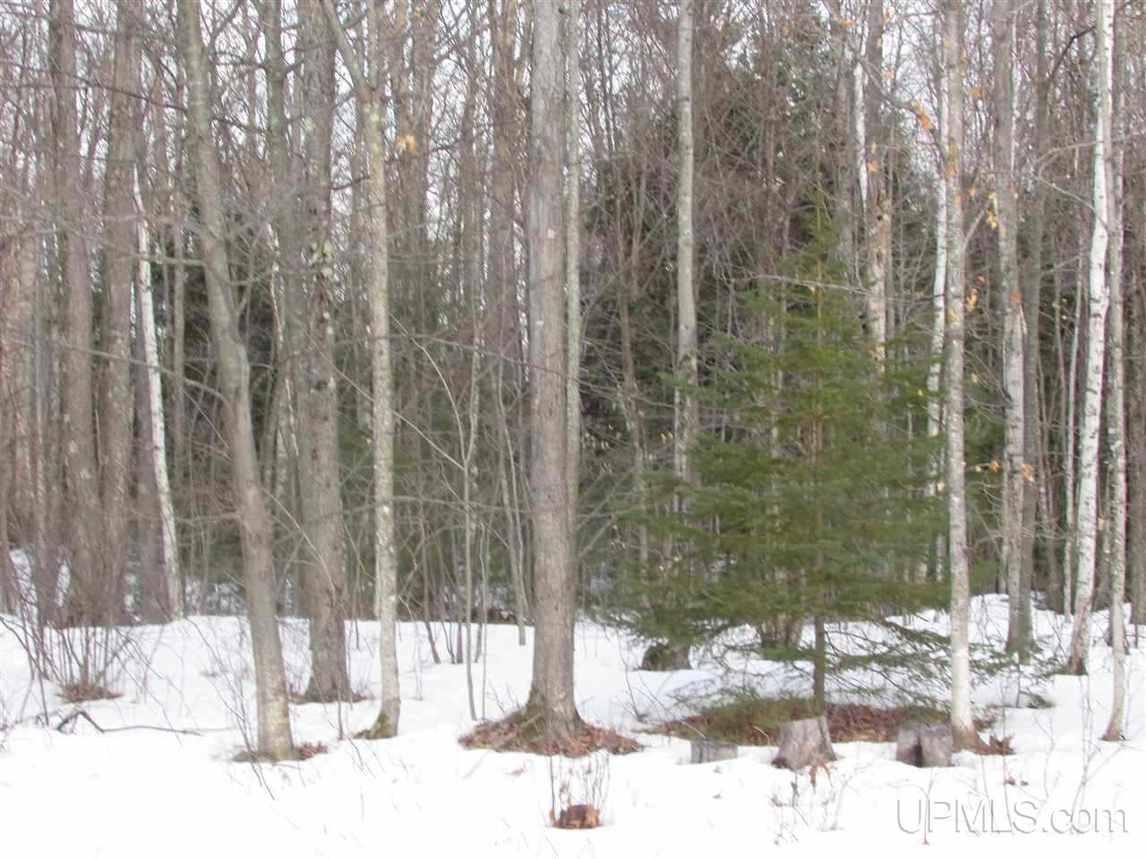 16100 Tailor Road Lanse, MI 49946 - Photo 23 of 25 Gallery Image 23