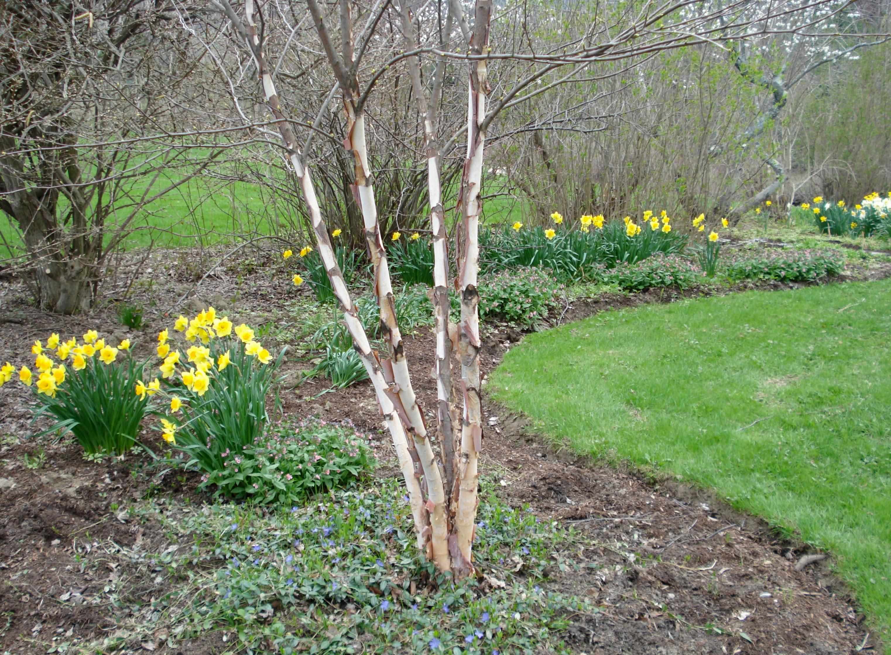 289 Lamb Hill Road Wells, VT 05774 - Photo 19 of 44 Gallery Image 19