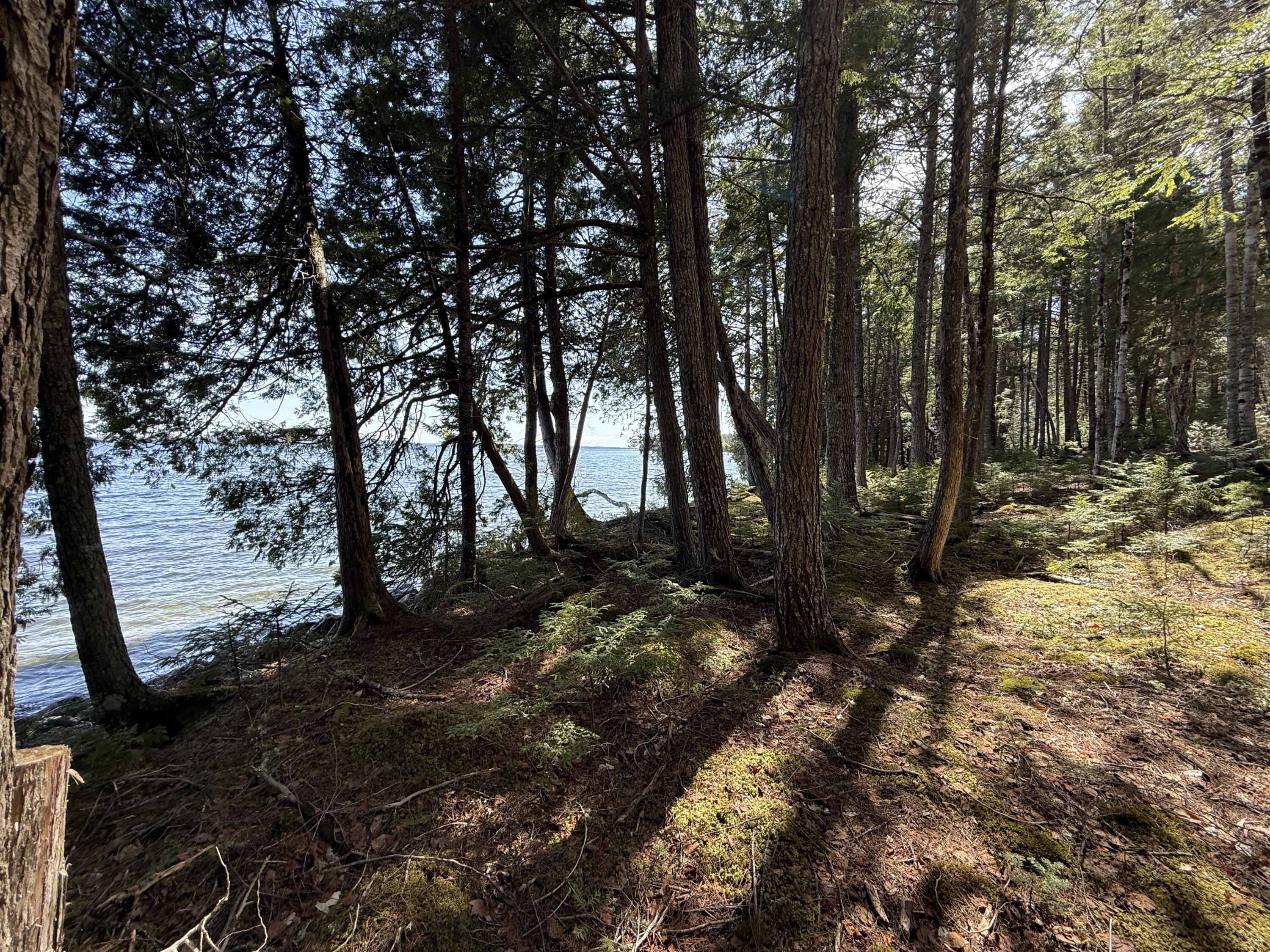 Lot 4 Chadwick Pt Road Weston, ME 04424 - Photo 28 of 30