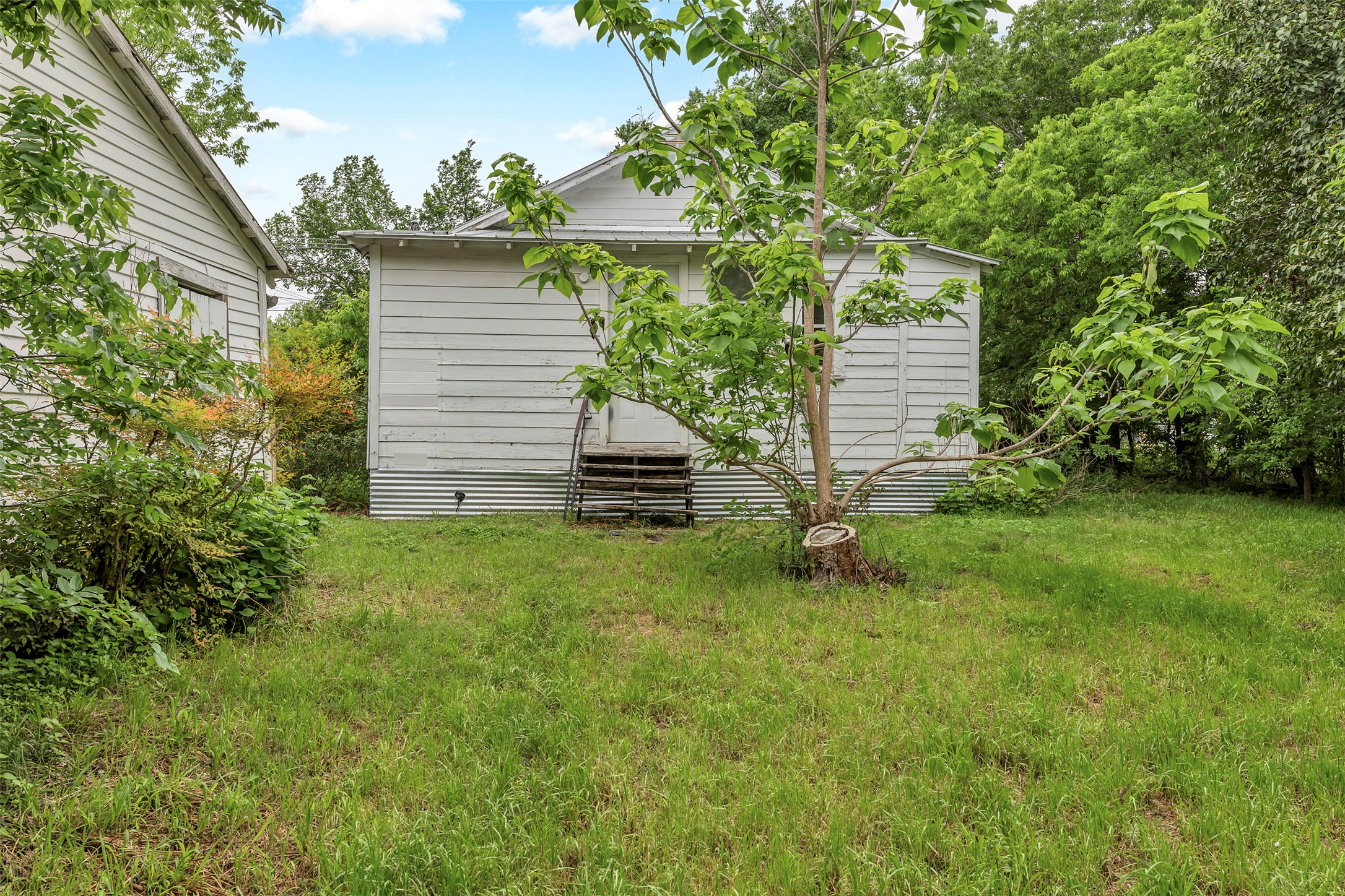 1002 Washburn Street Taylor, TX 76574 - Photo 27 of 29 The property features an expansive lawn area with mature trees and shrubbery, offering a secluded environment