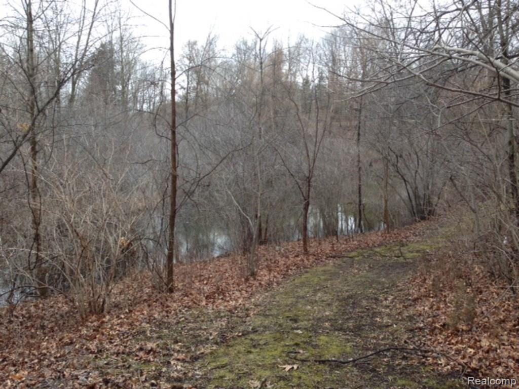 10466 Silver Lake Road Brighton, MI 48116 - Photo 25 of 27 Pond.jpg