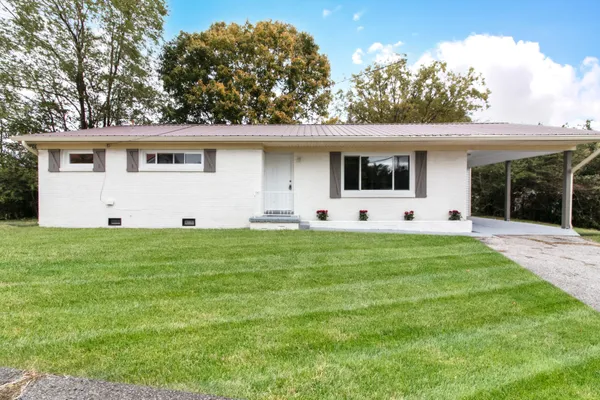 a front view of house with yard and green space