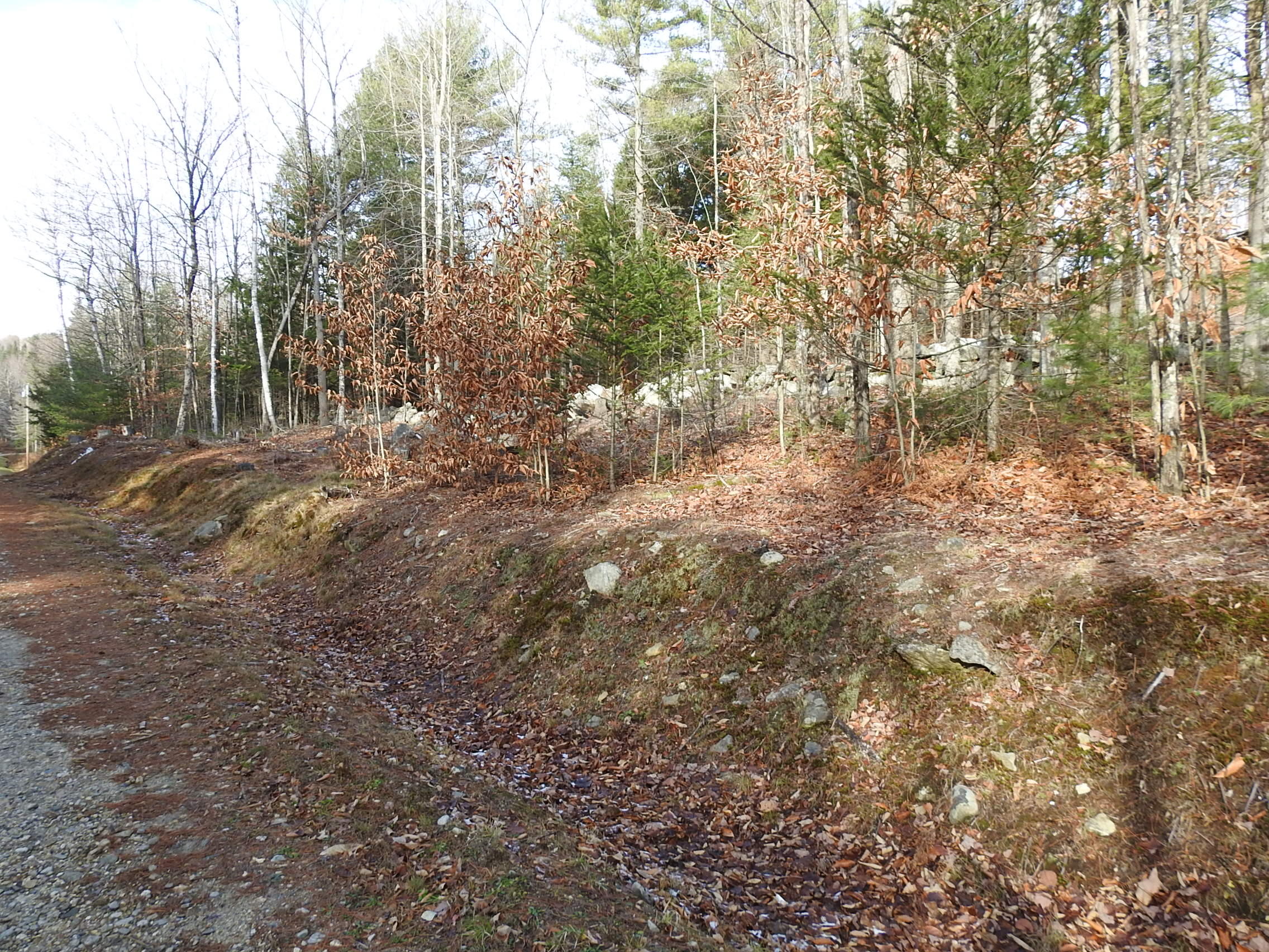 15 Roy Road West Paris, ME 04289 - Photo 27 of 27 DSCN4394