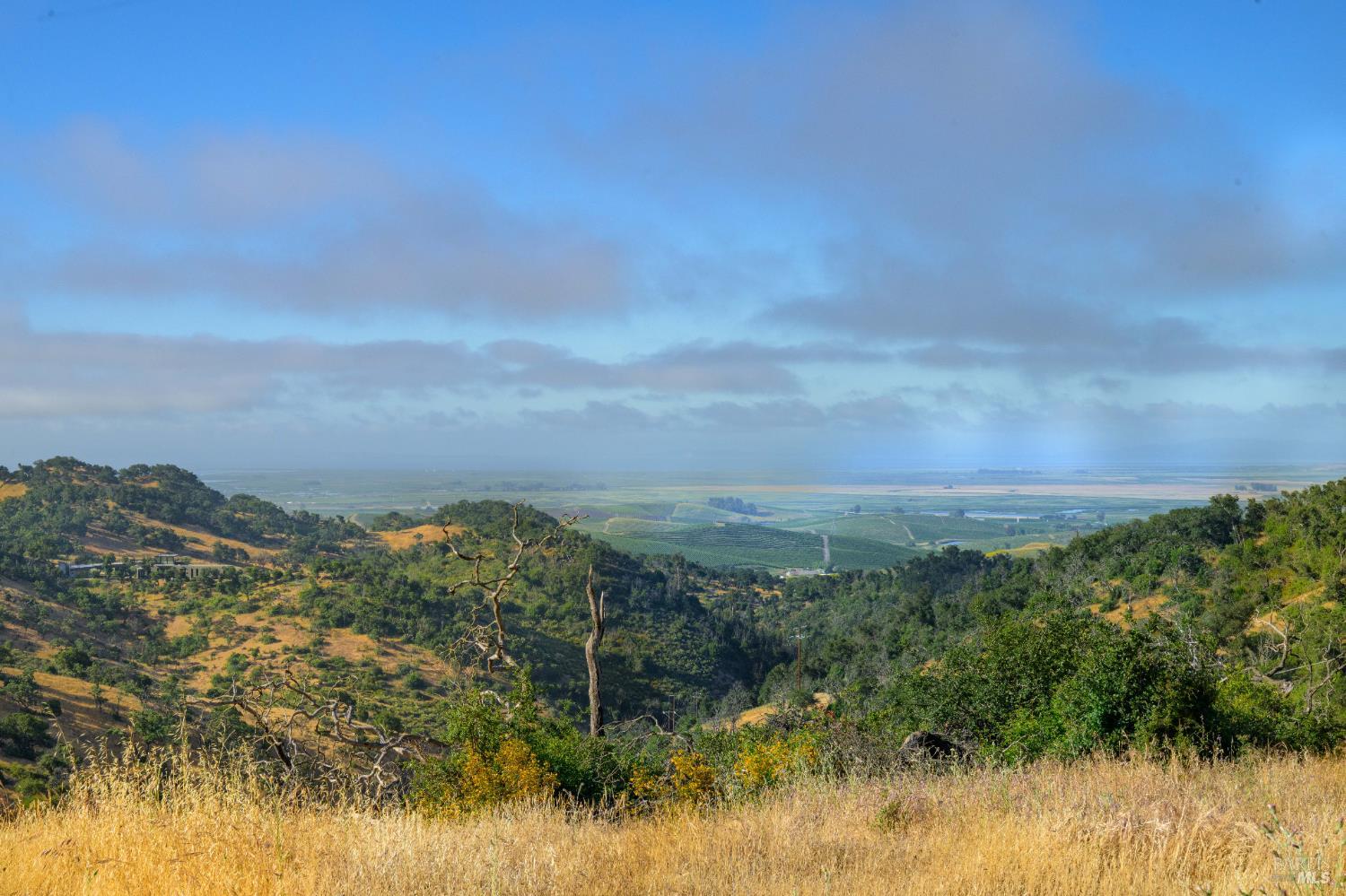 19539 Arrowhead Mountain Road Sonoma, CA 95476 - Photo 3 of 12