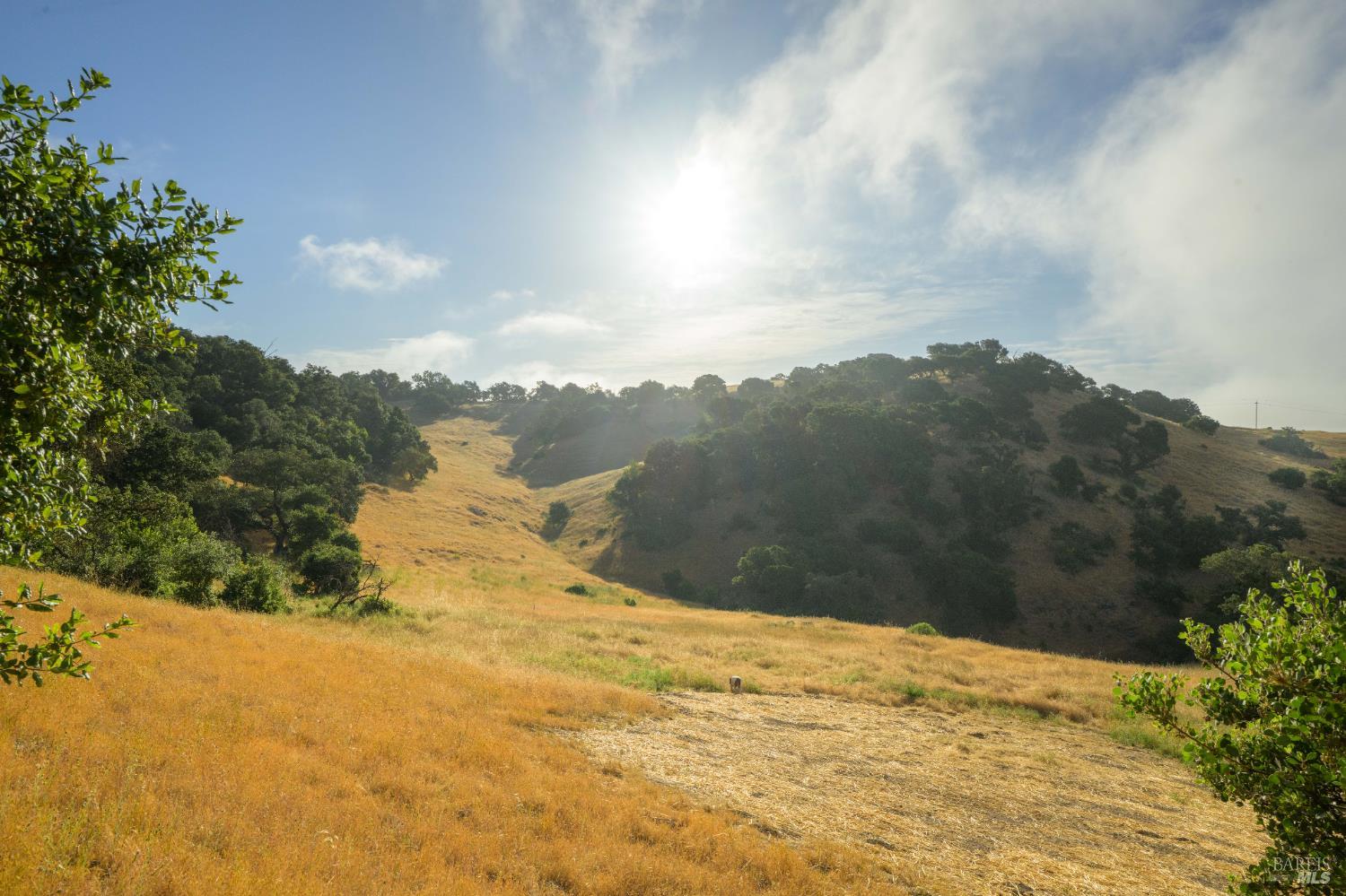 19539 Arrowhead Mountain Road Sonoma, CA 95476 - Photo 4 of 12