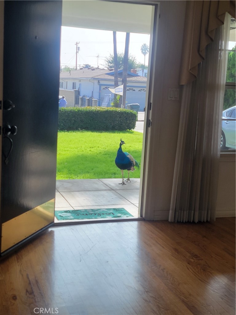 3837 Mountain View Avenue Pasadena, CA 91107 - Photo 41 of 41 a view of a room with a window and wooden floor