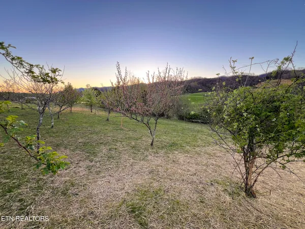 $949,999 | 159 Canary Lane, Speedwell, TN 37870