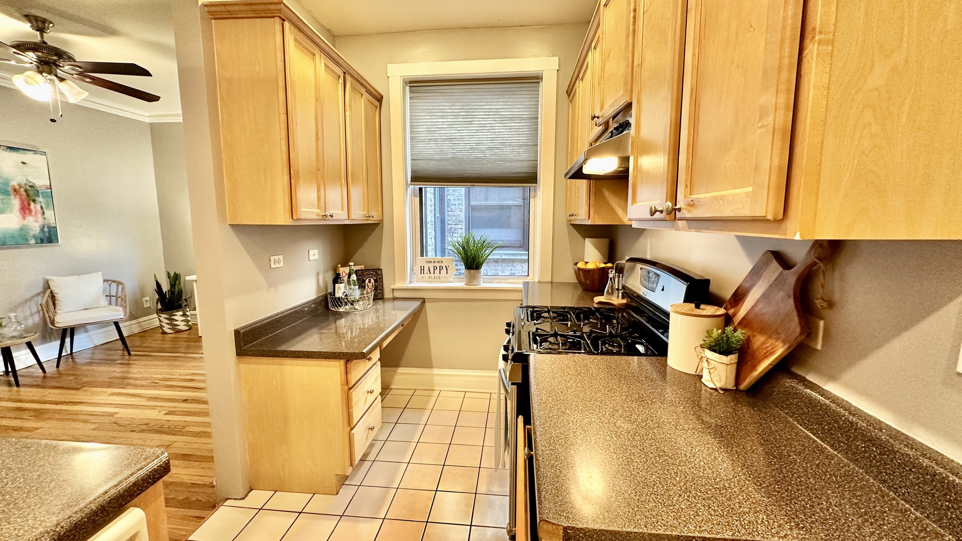 1319 West Addison Street, Unit 1A Chicago, IL 60613 - Photo 13 of 20 a kitchen with stainless steel appliances granite countertop a sink and a counter top space