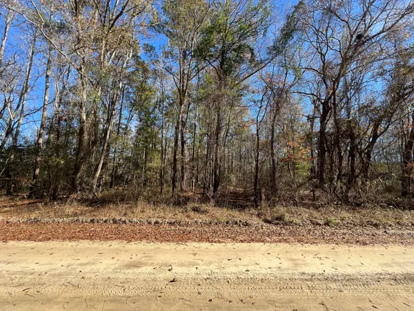 $75,000 | 0 Vancouver Road, Bowman, SC 29018