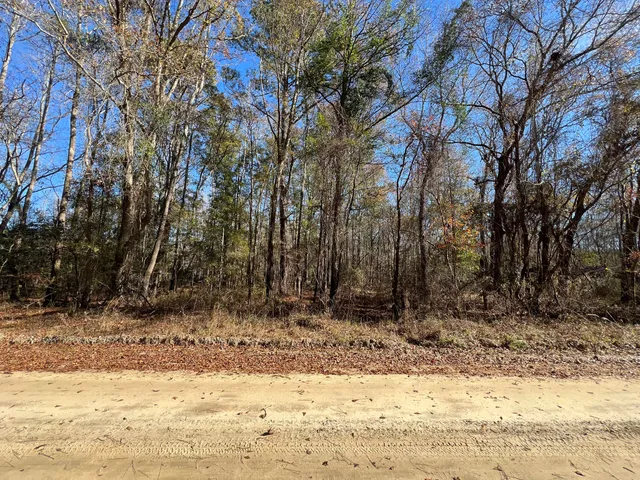 $75,000 | 0 Vancouver Road, Bowman, SC 29018