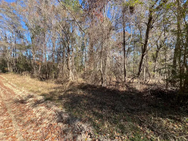 $75,000 | 0 Vancouver Road, Bowman, SC 29018