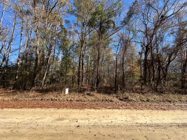 $75,000 | 0 Vancouver Road, Bowman, SC 29018