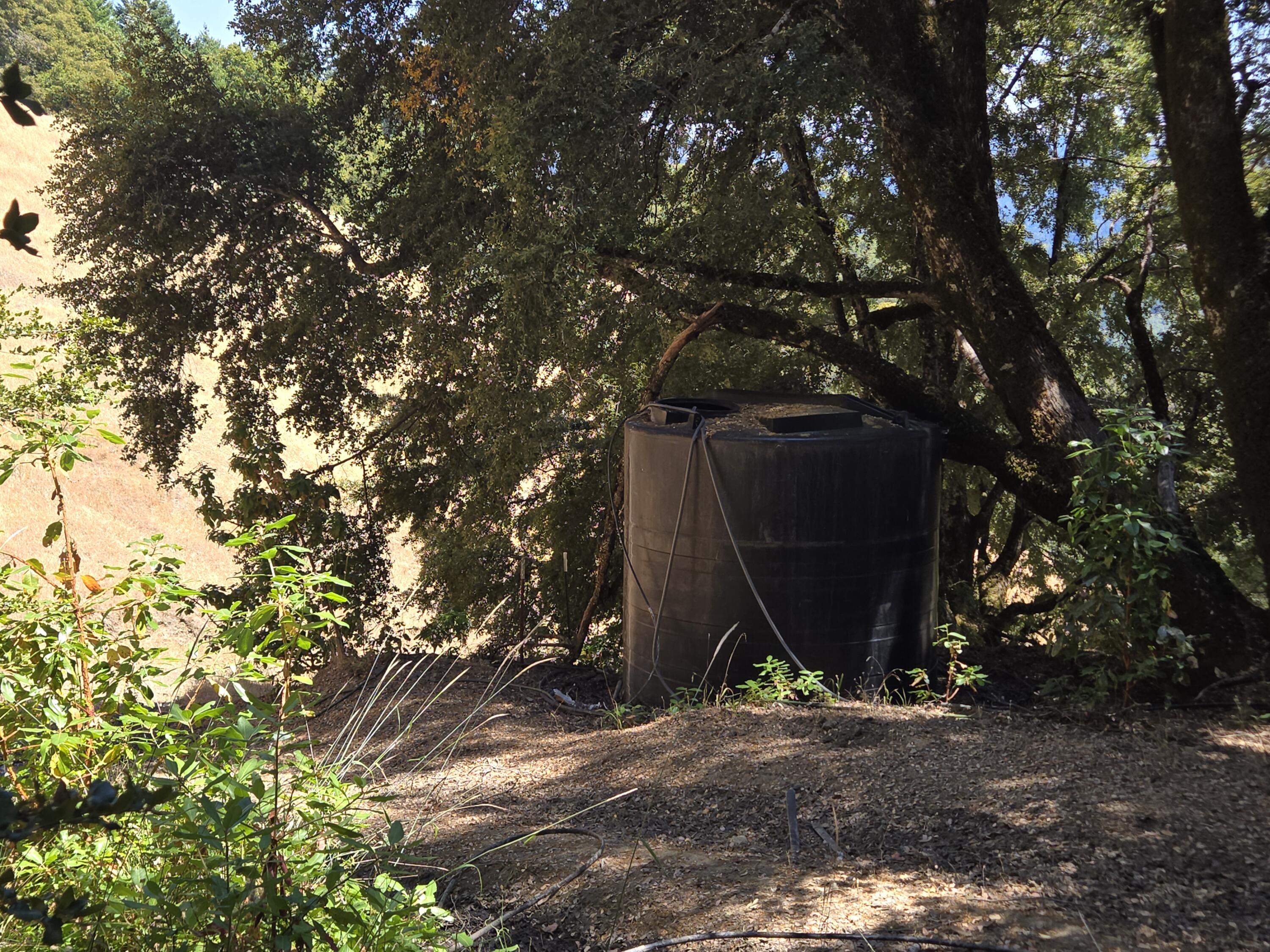 4800 Hansen Ranch Road Garberville, CA 95542 - Photo 11 of 23 a view of a backyard of a house