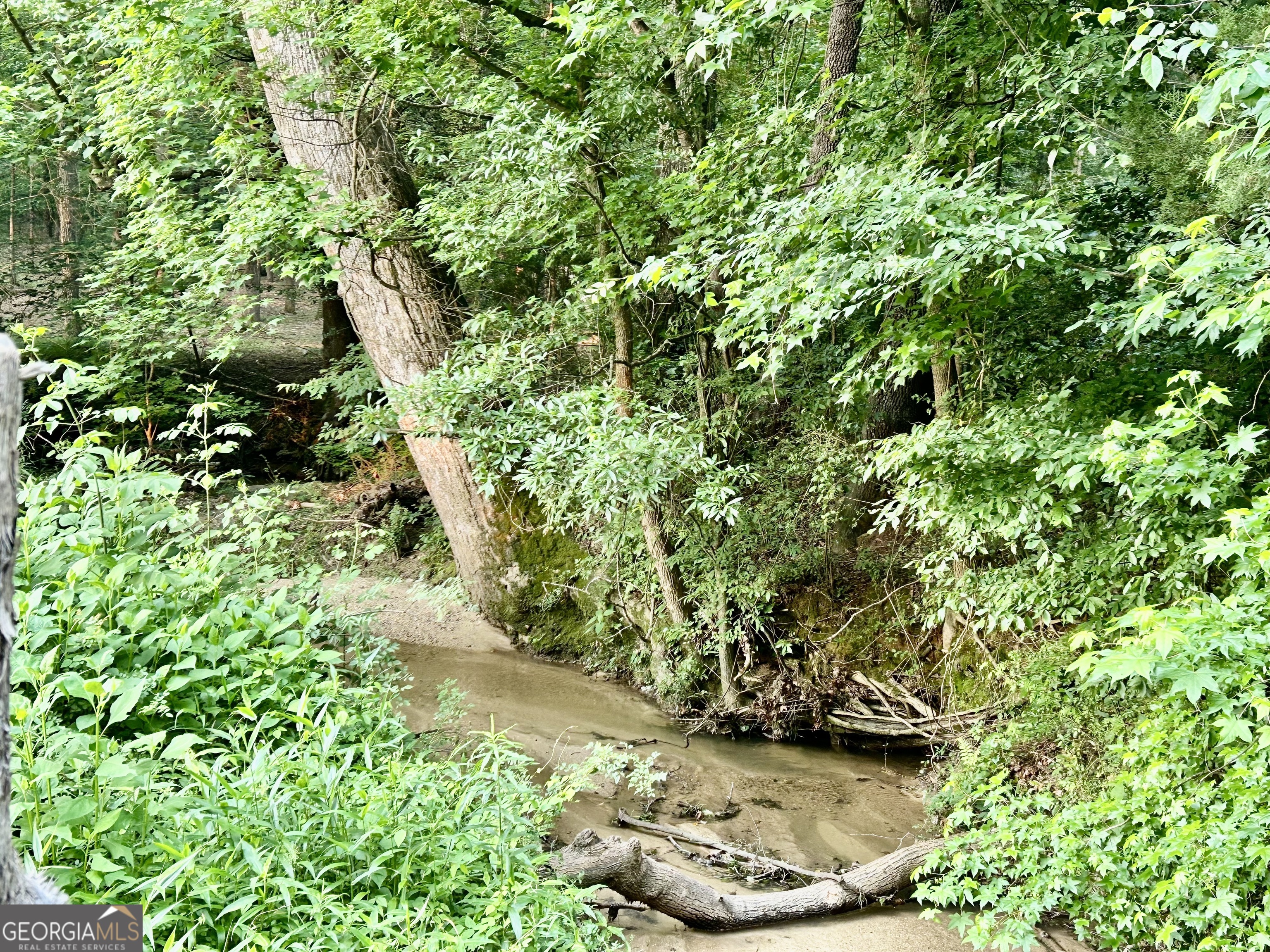 3272 Horace Road Bowman, GA 30624 - Photo 15 of 40 a view of a plant in a garden