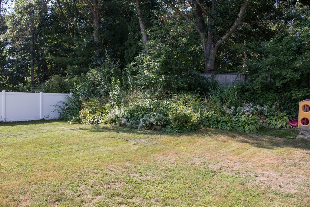 31 Netta Road Dedham, MA 02026 - Photo 22 of 22 Gallery Image 22