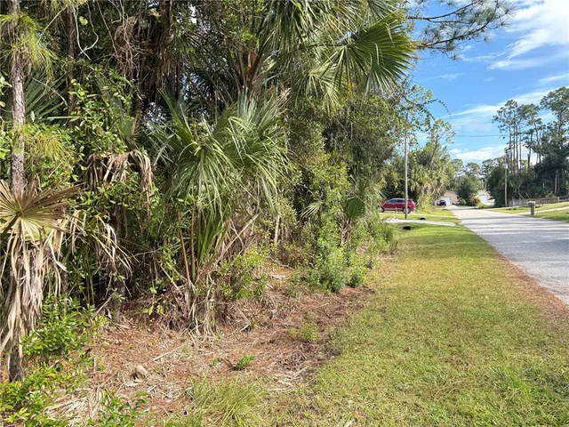 a view of a yard with plants and trees