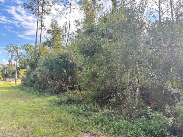 a view of a yard with large trees
