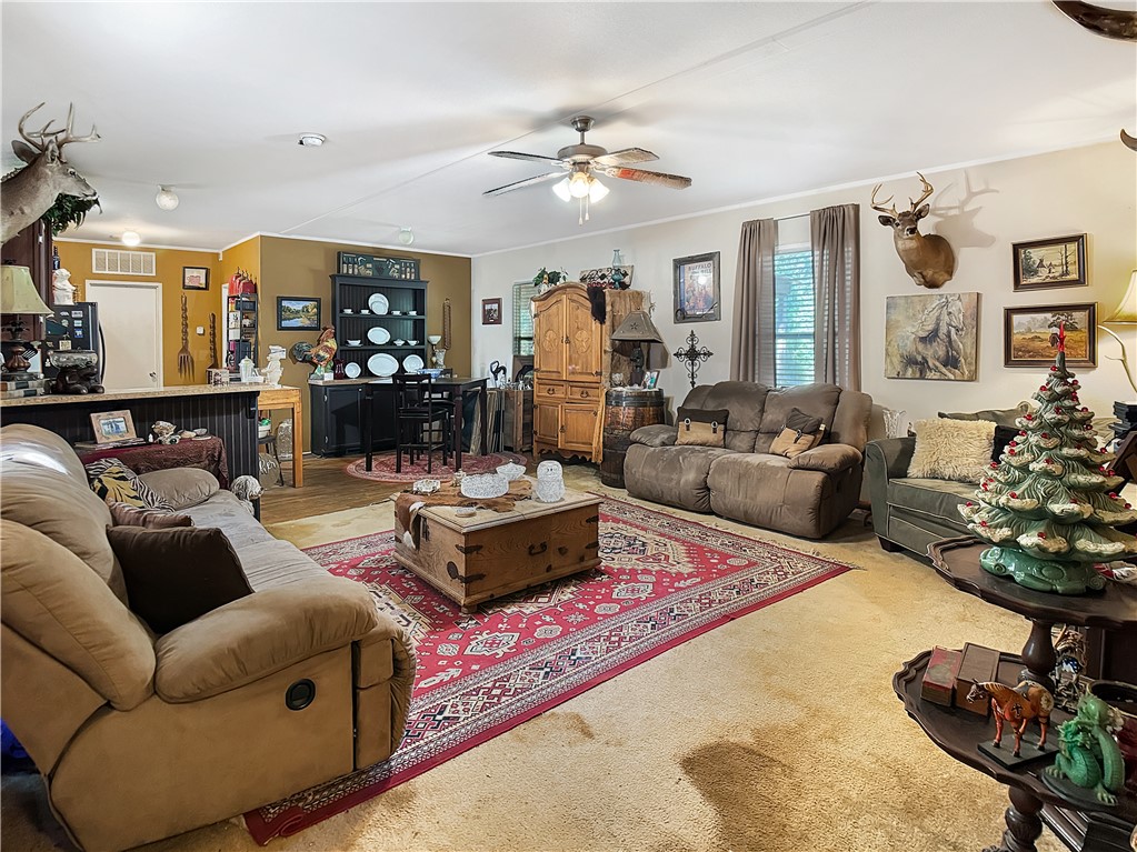 10134 Cobb Branch Road Franklin, TX 77856 - Photo 11 of 23 Living room with carpet flooring, crown molding, and a ceiling fan