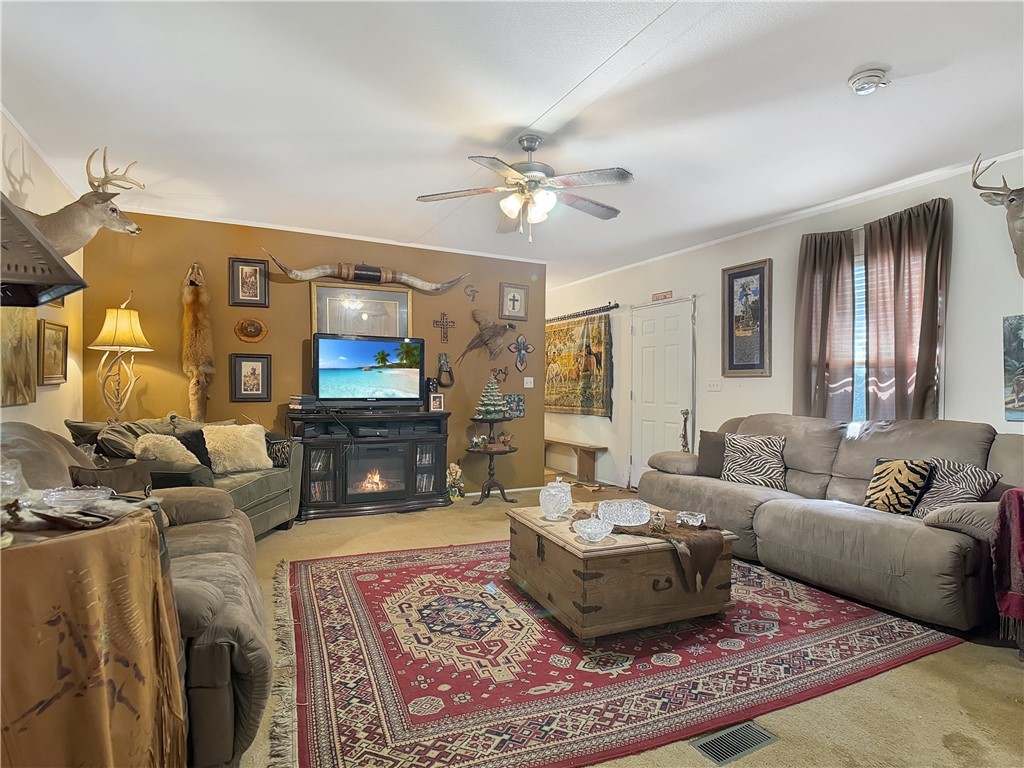 10134 Cobb Branch Road Franklin, TX 77856 - Photo 12 of 23 Living room featuring carpet flooring, crown molding, and a ceiling fan