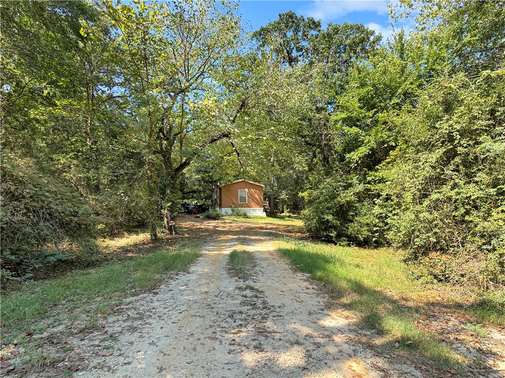 10134 Cobb Branch Road Franklin, TX 77856 - Photo 2 of 23 View of dirt / gravel driveway with a forest view