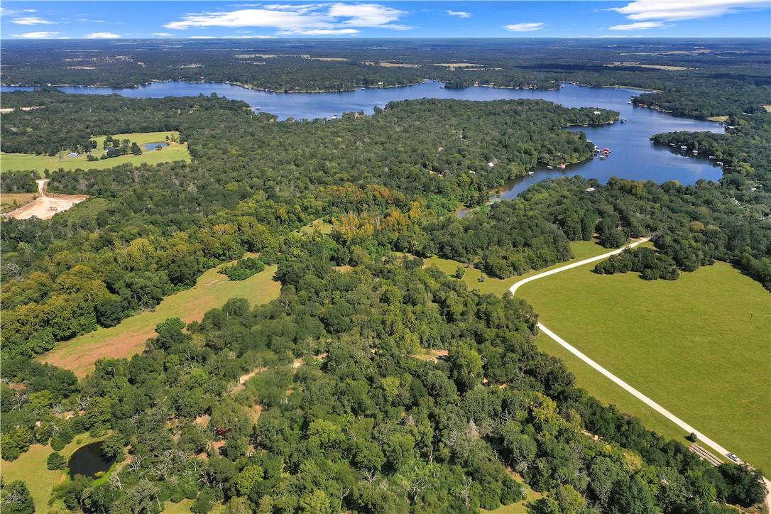 10134 Cobb Branch Road Franklin, TX 77856 - Photo 23 of 23 Bird's eye view of a forest and a nearby body of water