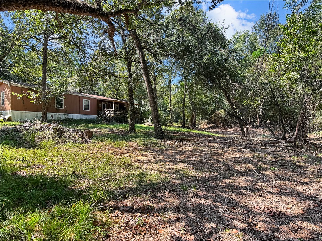 10134 Cobb Branch Road Franklin, TX 77856 - Photo 4 of 23 View of yard