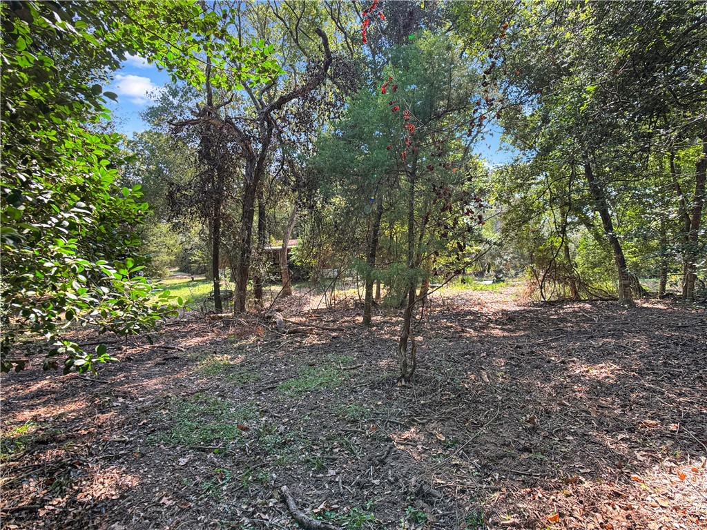 10134 Cobb Branch Road Franklin, TX 77856 - Photo 6 of 23 View of local wilderness