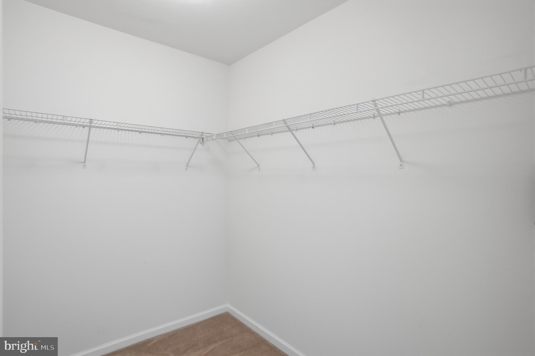 24238 Zinfandel Lane, Unit R404 Lewes, DE 19958 - Photo 28 of 51 Walk-in closet in primary