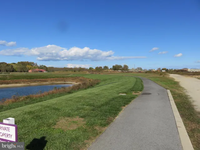 a view of a lake with a city