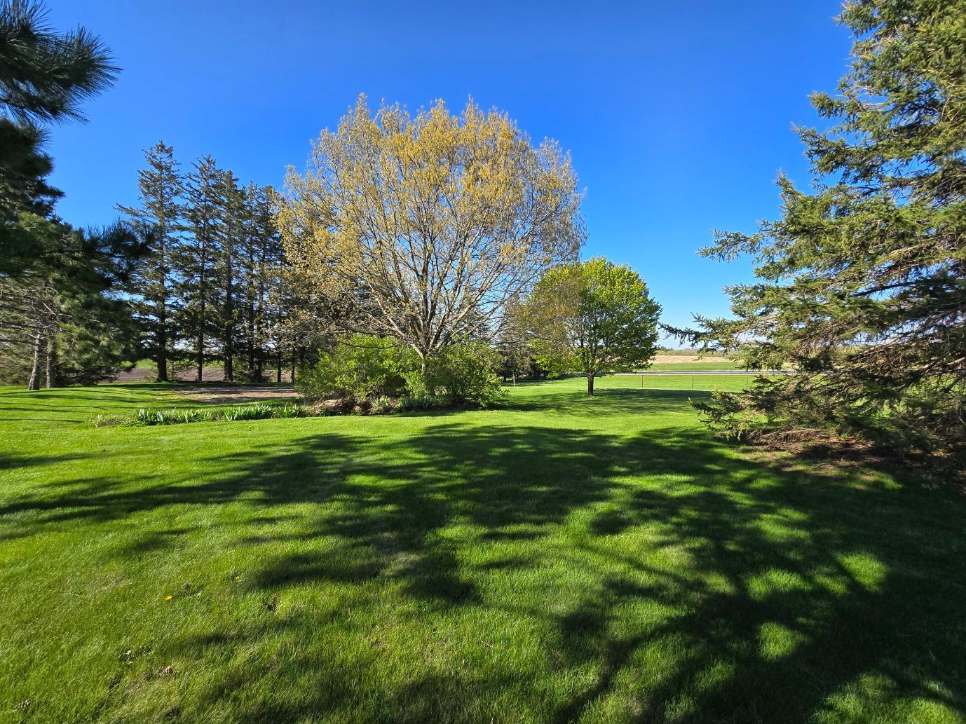 33303 County Road 29 Peterson, MN 55962 - Photo 51 of 80