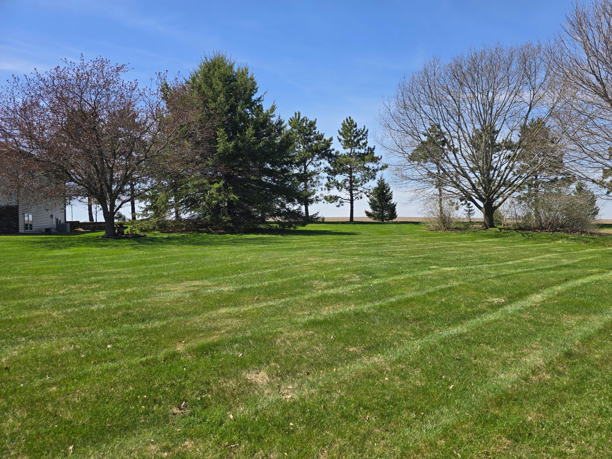 33303 County Road 29 Peterson, MN 55962 - Photo 54 of 80