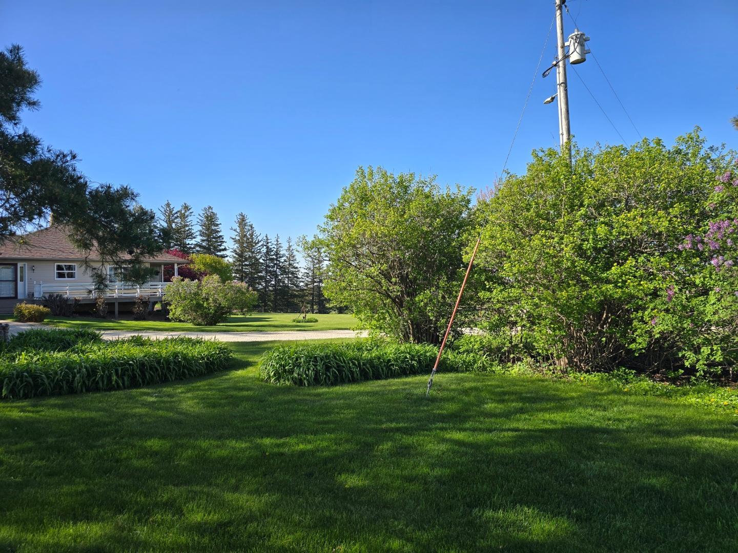 33303 County Road 29 Peterson, MN 55962 - Photo 57 of 80