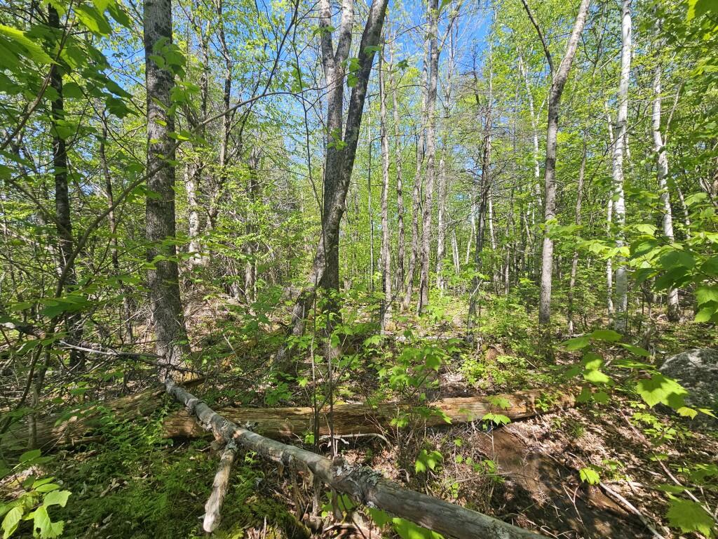 21 Jewett Way Hanover, ME 04237 - Photo 27 of 57 20260526_105127
