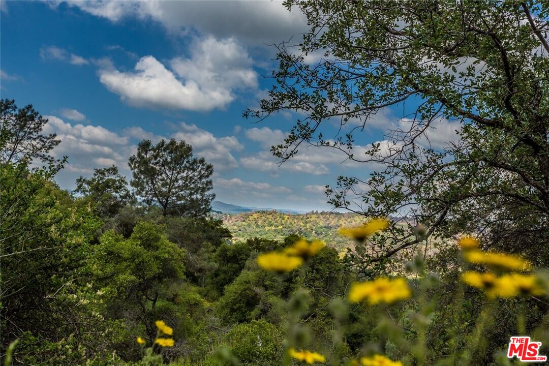4132 Usona Road Mariposa, CA 95338 - Photo 13 of 26 a view of a yard with plants and large trees