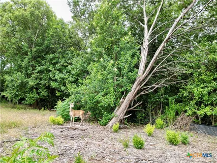 $99,000 | Tbd East 25th Avenue, Belton, TX 76513