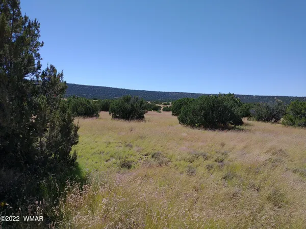 $18,500 | 43 County Road 8014, Concho, AZ 85924