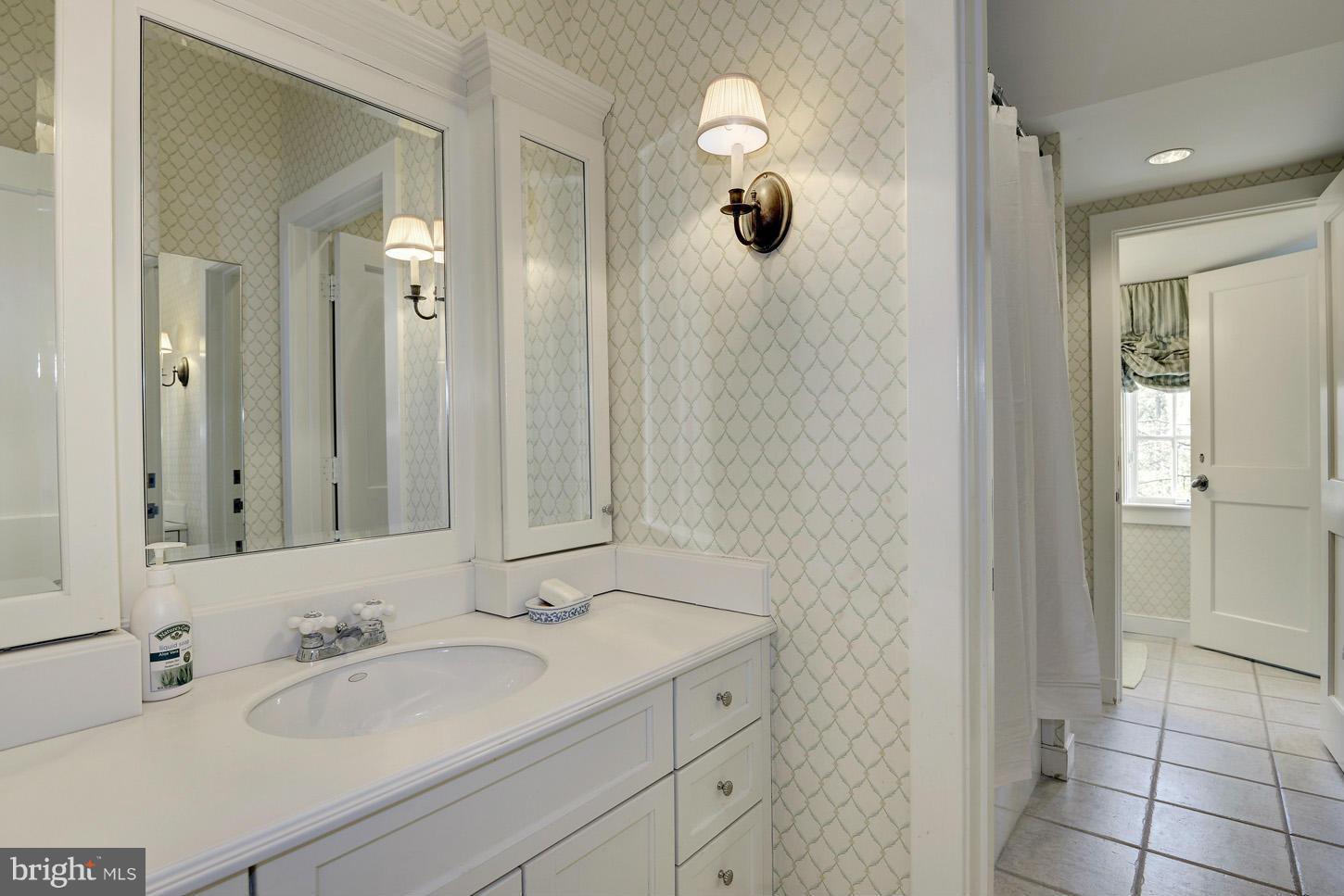 8106 Merrick Road Bethesda, MD 20817 - Photo 20 of 27 a bathroom with a sink and a mirror