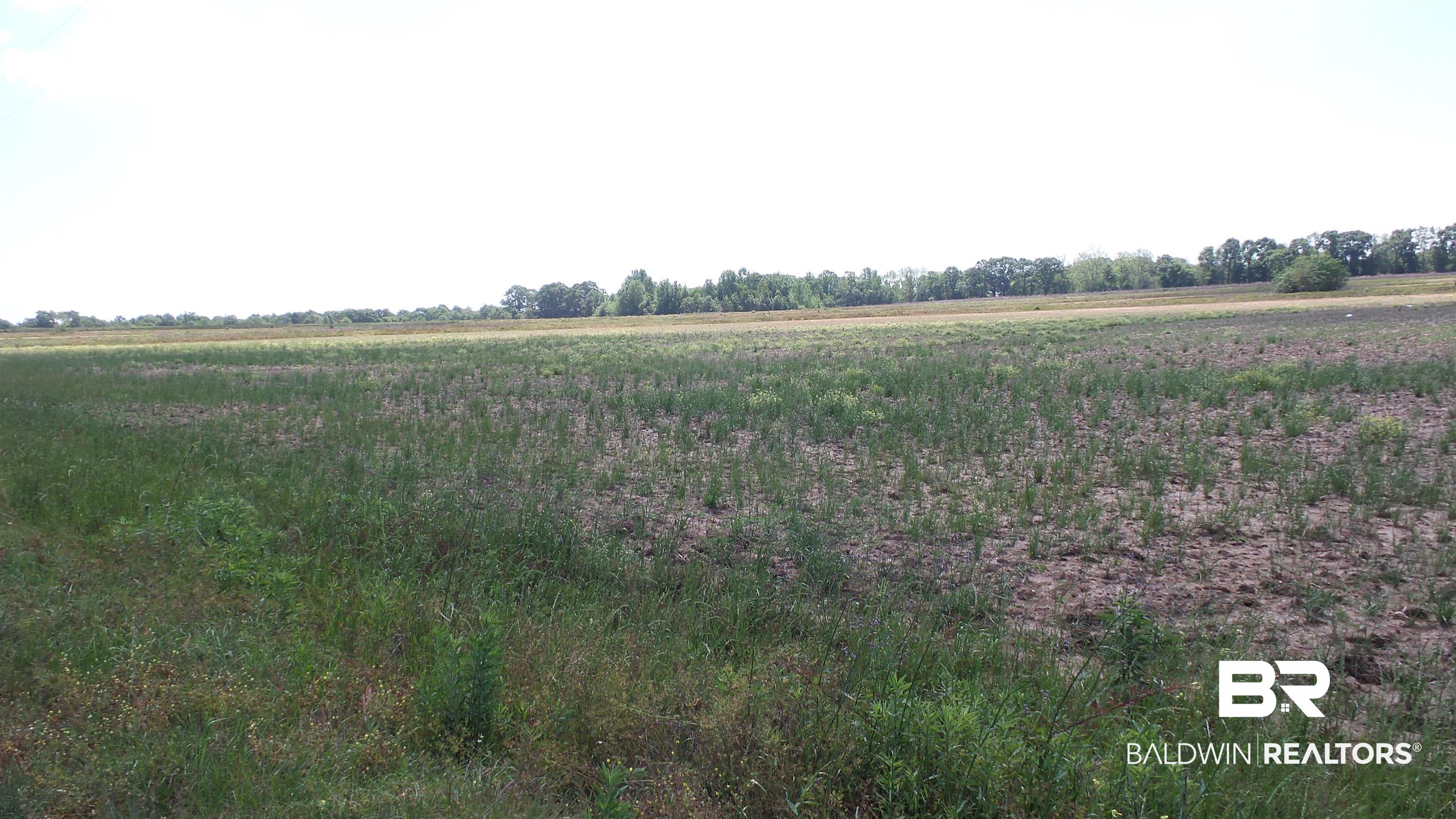 0 Highway 21 Atmore, AL 36502 - Photo 2 of 3