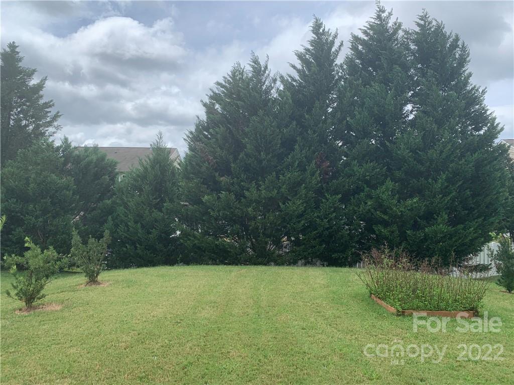 6518 Del Rio Road Charlotte, NC 28277 - Photo 17 of 19 a view of outdoor space and yard