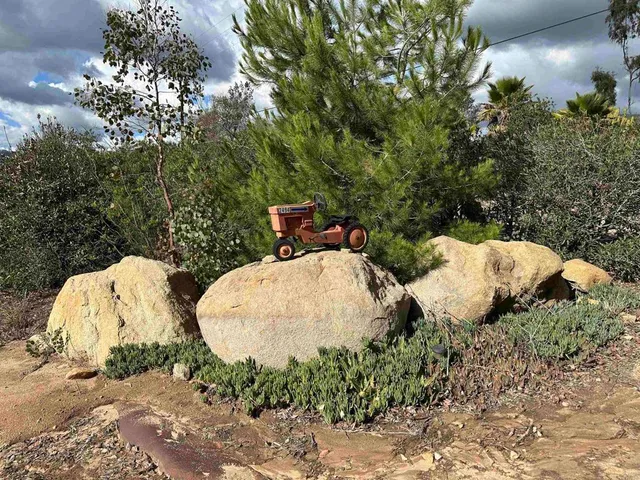 a view of a bunch of bushes and tree