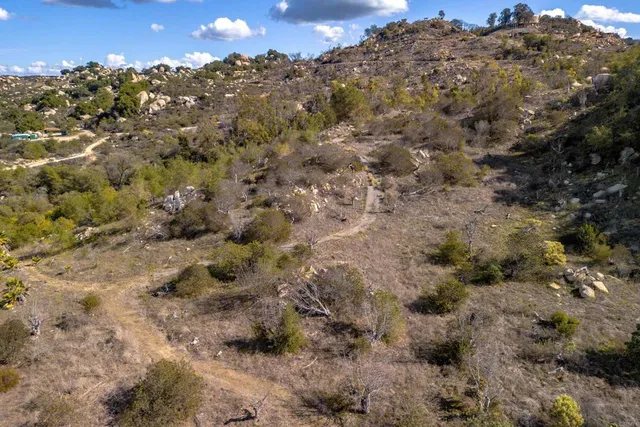 a view of a tree with a yard