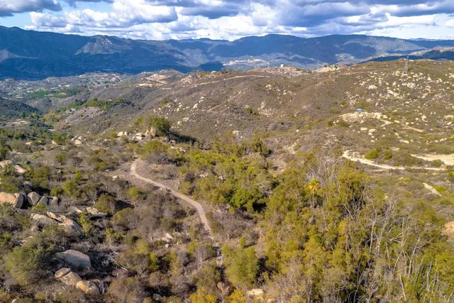 a view of a bunch of trees