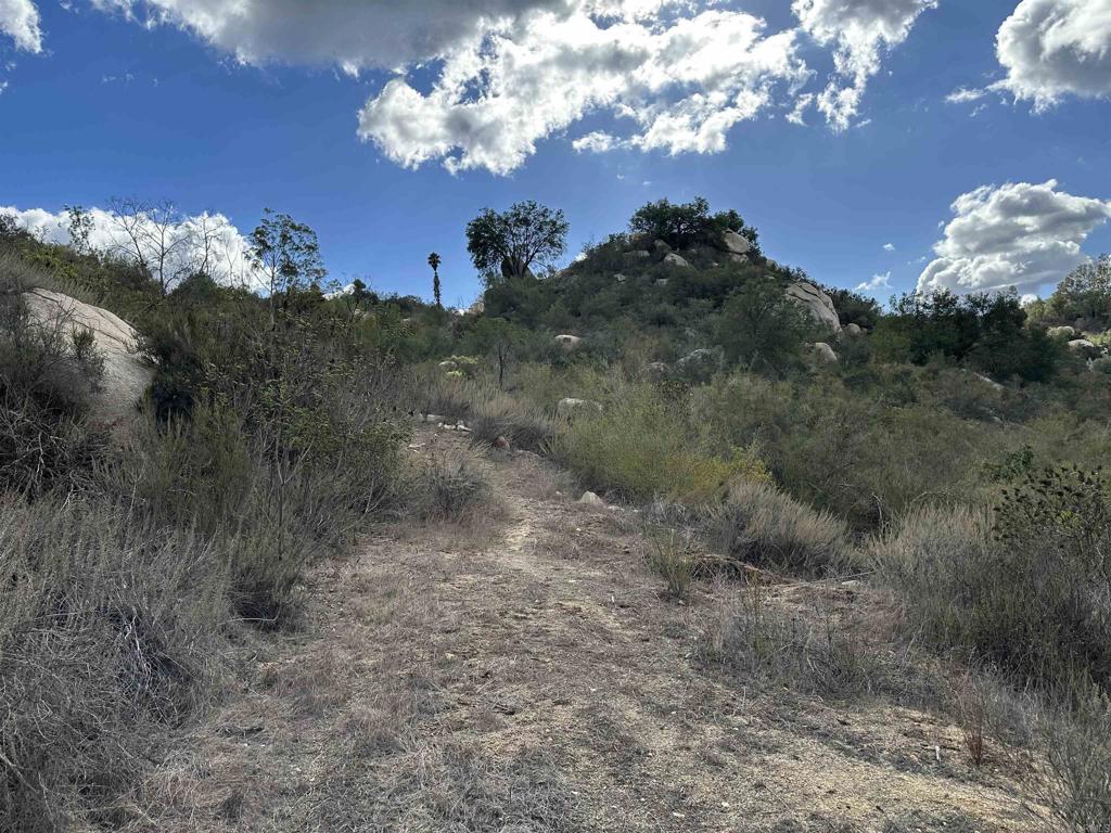 2494 Donnil Lane Fallbrook, CA 92028 - Photo 46 of 61