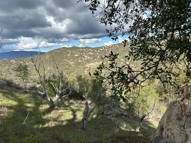 a view of a city with lots of trees