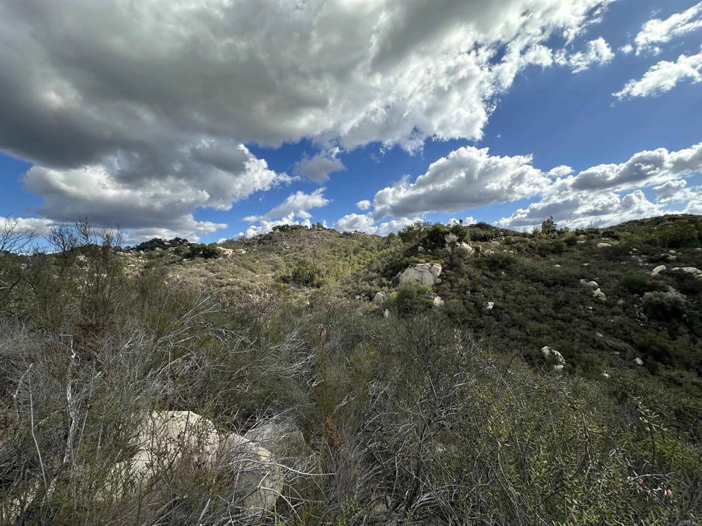 2494 Donnil Lane Fallbrook, CA 92028 - Photo 58 of 61 a view of a city with lots of trees