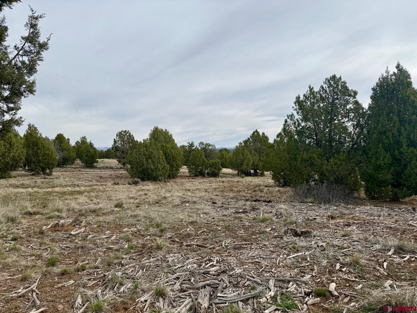 2543 Wrangler Way Durango, CO 81303 - Photo 11 of 29 a view of an outdoor space with trees all around