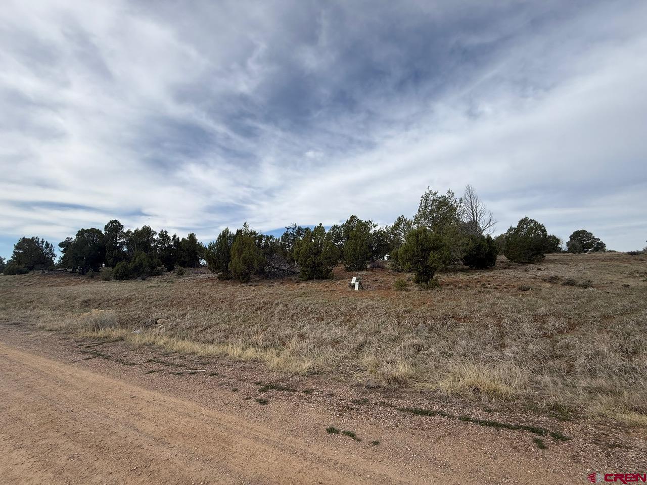 2543 Wrangler Way Durango, CO 81303 - Photo 13 of 29 a view of a field with trees in background